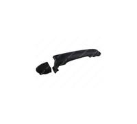 PRASCO DS0148113 Maniglia porta