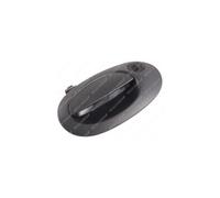 MANIGLIA PORTIERA LM594Q 7700304669