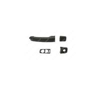 MANIGLIA PORTIERA LM606Q 806075963RPRIMED