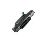 MANIGLIA PORTIERA LM891Q 826503E040