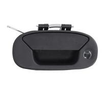 Maniglia della portiera BLIC 6010-07-029417PP