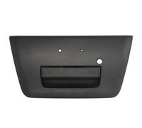 Maniglia della portiera BLIC 6010-16-038417P