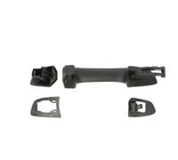 Maniglia della portiera BLIC 6010-43-009404P