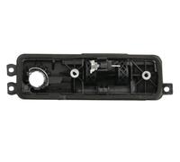 Maniglia Posteriore Per: DACIA DOKKER, LODGY 03.12-