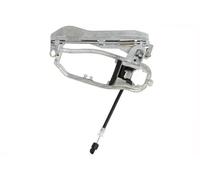 Maniglia della portiera BLIC 6010-05-014433P