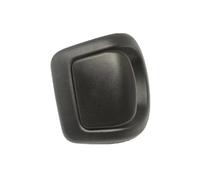Maniglia Sedile Anteriore Destra Lato Passeggero Compatibile con 500 Abarth | Riferimento OEM 71752326 (Destra)