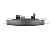 Maniglia Esterna Anteriore/posteriore Sinistra Dacia Sandero 2008-2012 Sx