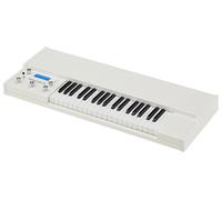 Manikin-Electronic Memotron M2K