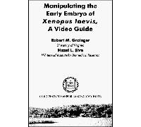 Manipulating the Early Embryo of Xenopus Laevis: A Video Guide