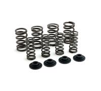 Manley, kit molle valvole. Acciaio. Std a .550 ''ascensore