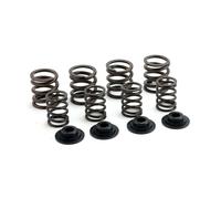 Manley, kit molle valvole. Std a .490 ''ascensore