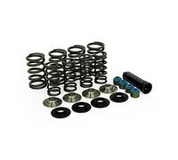 Manley, kit molle valvole. Titanio. Std a .650 ''ascensore