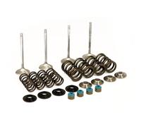 Manley, kit valvole Race Master. Stock - Alzata valvola .650 ''