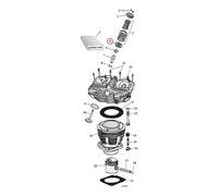 Manley, set collare molla valvola inferiore. .030 ''