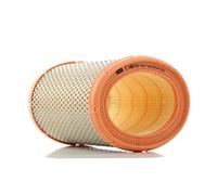 MANN-FILTER Filtro dell'aria C 1460 per autovetture e veicoli commerciali