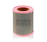 MANN-FILTER C 16 113 Filtro aria
