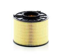 MANN-FILTER C 17 012/1 Filtro dell'aria - per Autovetture + veicoli commeriali