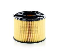 Filtro aria MANN-FILTER C 17 012/1