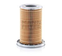 MANN-FILTER C 19 384/1 Filtro aria