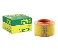 RIDEX 8A0589 Filtro aria per FORD RANGER (TKE)