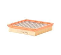 MANN-FILTER C 22 029 Filtro dell'aria - per Autovetture + veicoli commeriali