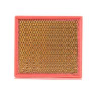 MANN-FILTER C 24 100 Filtro dell'aria - per Autovetture + veicoli commeriali