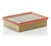 Filtro aria MANN-FILTER C 24 128/2