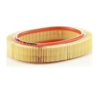 MANN-FILTER, C 2440 Filtro aria | Per Autovetture, Aria pulita, Filtro resistente, Design con adattamento perfetto, Qualità originale OE