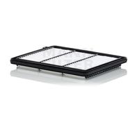 MANN-FILTER C 25 051 Filtro aria