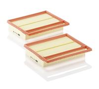 Filtro aria MANN-FILTER C 25 110-2