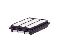 MANN-FILTER C 25 200 Filtro aria