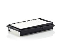 MANN-FILTER C 2537/2 Filtro dell'aria - per Autovetture + veicoli commeriali