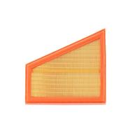 MANN-FILTER, C 27 125 Filtro aria | Per Autovetture, Aria pulita, Filtro resistente, Design con adattamento perfetto, Qualità originale OE