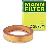 Filtro aria MANN-FILTER C 2873/1
