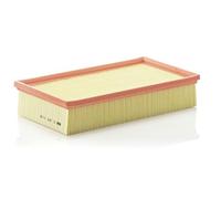 MANN-FILTER C 29 118 Filtro aria