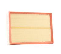 Filtro aria MANN-FILTER C 30 011