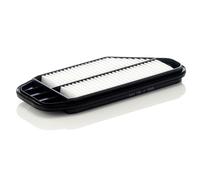 MANN-FILTER C 36 013 Filtro dell'aria - per Autovetture + veicoli commeriali