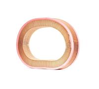 Filtro aria MANN-FILTER C 37 107