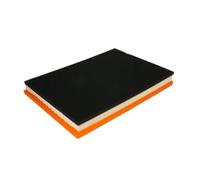 Filtro aria MANN-FILTER C 4019