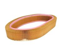 MANN-FILTER C 41 173 Filtro dell'aria - per Autovetture + veicoli commeriali