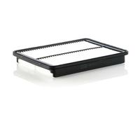 Mann-Filter C30017 Filtro Aria per Kia Sorento II XM Hyundai Santa Fé III DM Dma