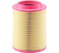 MANN-FILTER Filtro Motore Filtro Dell'Aria C 25 660/2