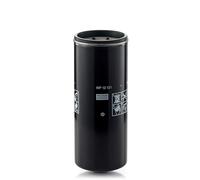 MANN-FILTER WP 12 121 Filtro dell'olio - APPLICAZIONI FUORI STRADA