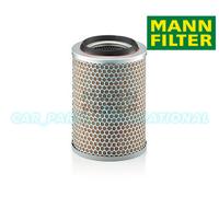 Mann Filtro Aria Motore Alta Qualità OE Spec Ricambio C17217