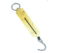 Mannesmann - M 813-100 - Bilancia a molla tascabile 100 kg