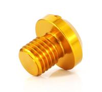 Mano sinistro inverso M10X1 25 VITE SPECCHIO FILLE FEMILE ANTI CLETTURA compatibile con moto Scrambler X300 X250 e modelli di bici GW250(Gold)