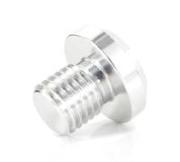 Mano sinistro inverso M10X1 25 VITE SPECCHIO FILLE FEMILE ANTI CLETTURA compatibile con moto Scrambler X300 X250 e modelli di bici GW250(Silver)