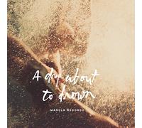 Manolo Redondo - A Drop About to Drown