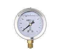 Manometro a bagno d'olio antiurto YN-60 for la misurazione della pressione 'acqua, montaggio radiale, filettatura M14*1,5.(0-0.25MPA)