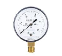 Manometro a membrana YE-60 0-10 kPa, manometro kilopascal, micromanometro for gas combustibile 0-6 kPa(0-25kpa)